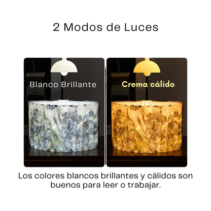 Luz Nocturna Decorativa para Hogar y Lectura / Lámpara de Libro